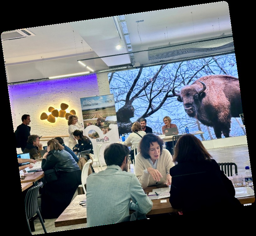Organización de B2B de éxito